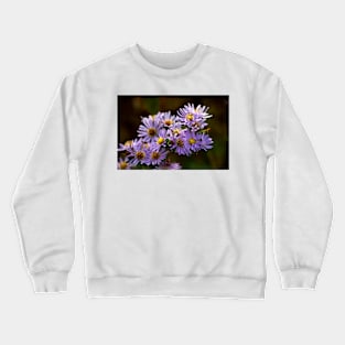 Michaelmas Daisy Crewneck Sweatshirt